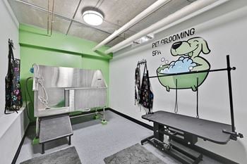 Pet spa